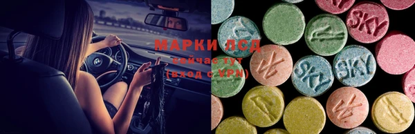 spice Осташков