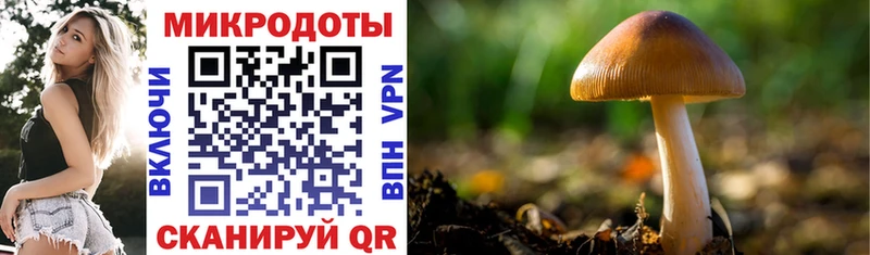 Галлюциногенные грибы мухоморы  Кувшиново 